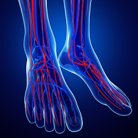 Healthy Eating Habits May Positively Affect Circulation